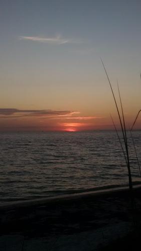 IMG_20160604_063429688