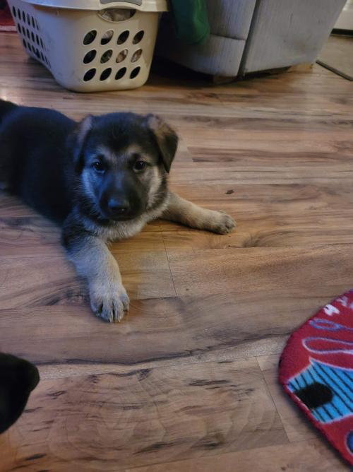 received_777389379525258