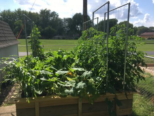 14:48:54 GMT-0600 (CST).image