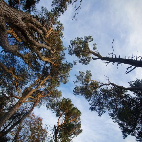 IMG_20201025_184212_712