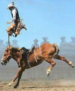 125404757_365562431189701_2335787672308544729_n