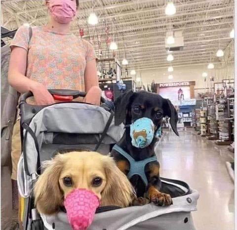 13:48:08 GMT+1000 (AEST)