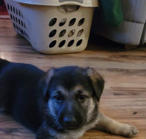 received_777389379525258_kindlephoto-99241500