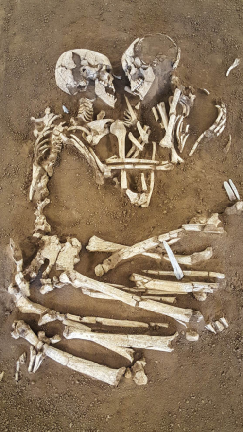 Screenshot_20201110-112737