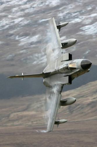 125230751_3503010476451814_800772360877126962_o