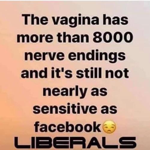 1A8D6118-0819-4916-AEDB-CB80490720ED-8398-000005F83527AFF1