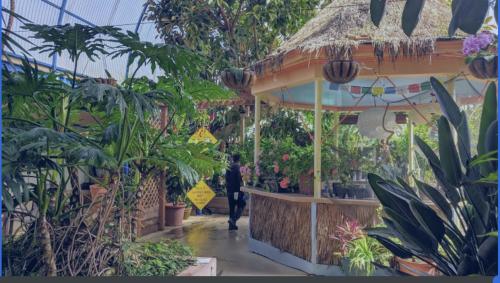 09:11:13 GMT-0500 (EST).image