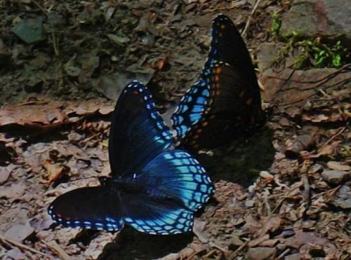 09:51:03 GMT-0600 (CST)