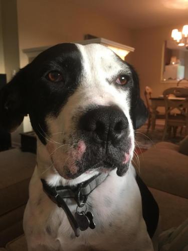 18:56:19 GMT-0500 (EST).image