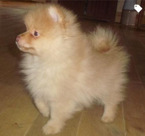 09:05:09 GMT-0500 (EST).image