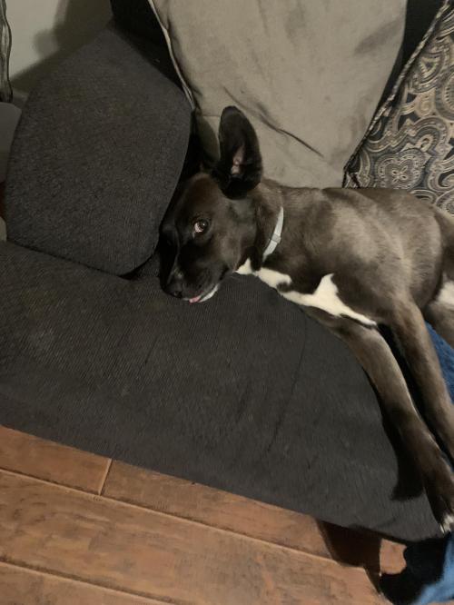 12:24:46 GMT-0600 (CST).image