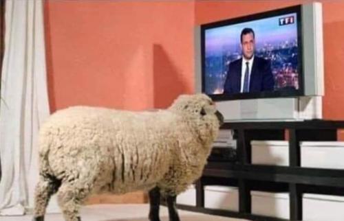 Screenshot_20200906-200756_Facebook1