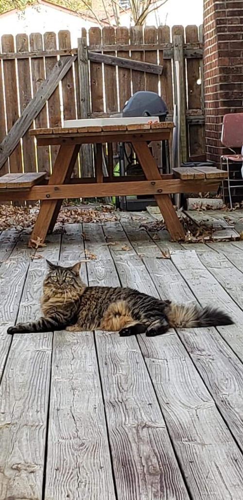 00:05:12 GMT-0500 (EST)