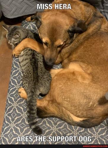 03:56:08 GMT-0600 (CST).image