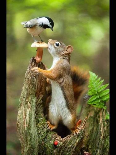 128589610_4623077091101031_6932748739098012788_n