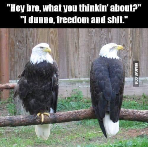 21:22:25 GMT-0600 (CST).image