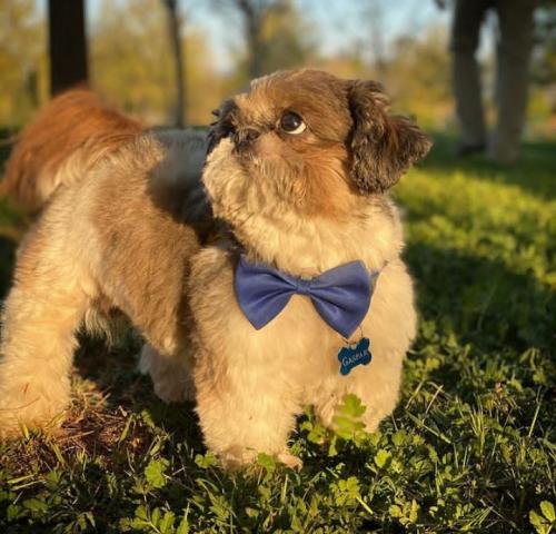 02:28:18 GMT+0100 (WAT).image