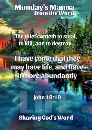 FB_IMG_1572312338606