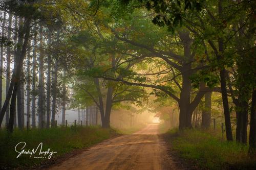 18:31:26 GMT-0500 (EST).image