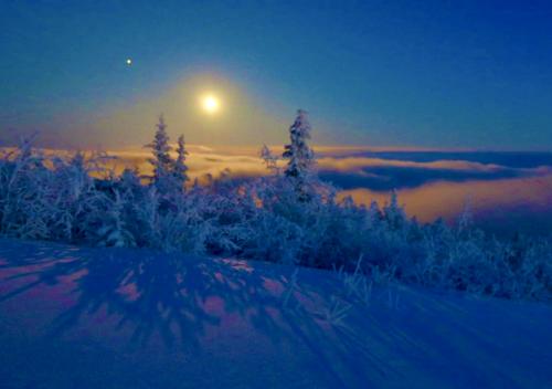 08:20:45 GMT-0900 (AKST).image