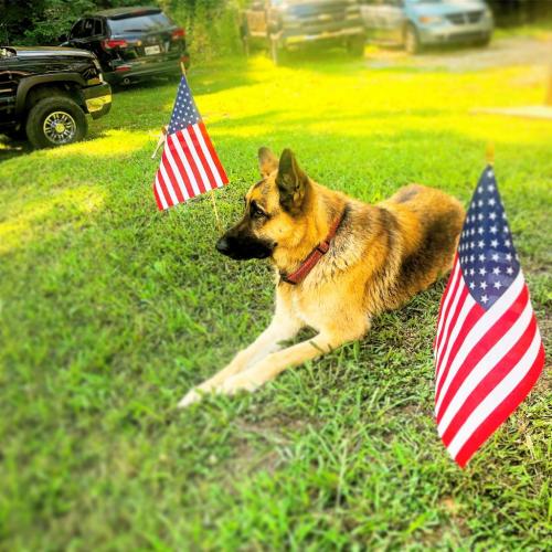 00:48:49 GMT-0500 (EST).image