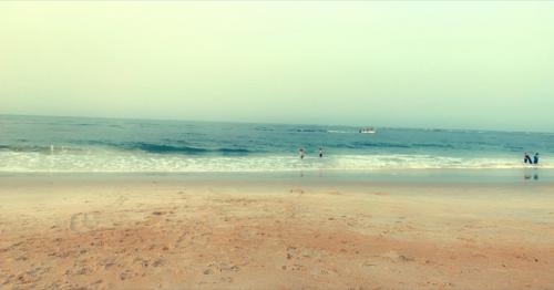 E8AC09A5-3431-48FB-9090-3A900DB504C7