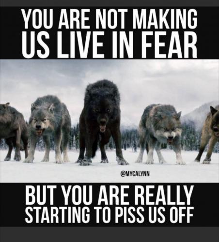 15:30:03 GMT-0500 (EST)