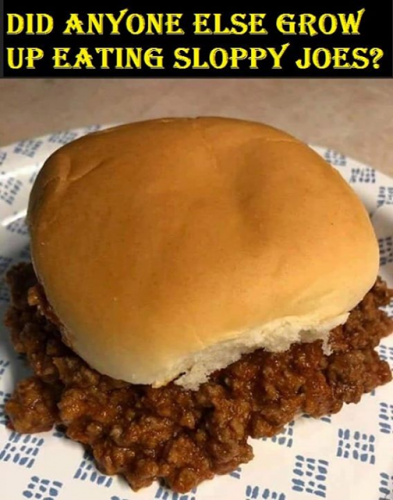 sloppyjoe_n