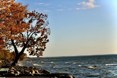 12:33:41 GMT-0500 (EST).image