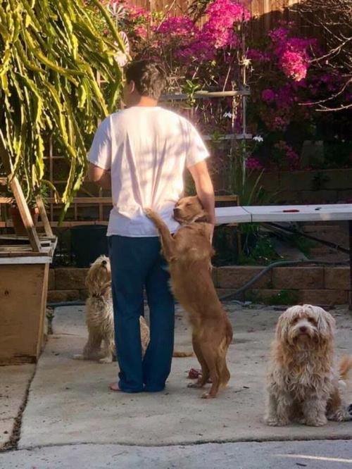 20:20:18 GMT+0100 (WAT)