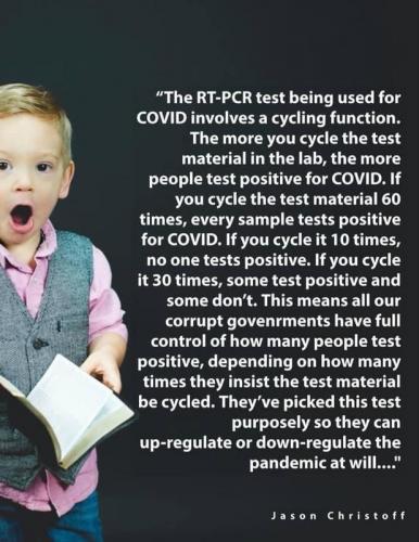 PCR_Test_Flaws
