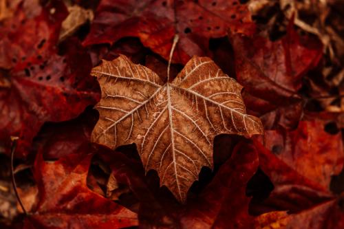 10:09:57 GMT-0600 (CST).image