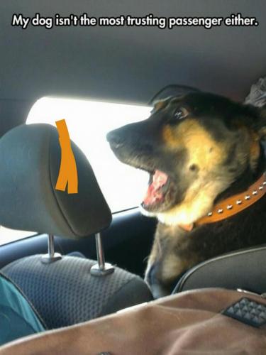 Screenshot_2020-11-20-19-39-18-1