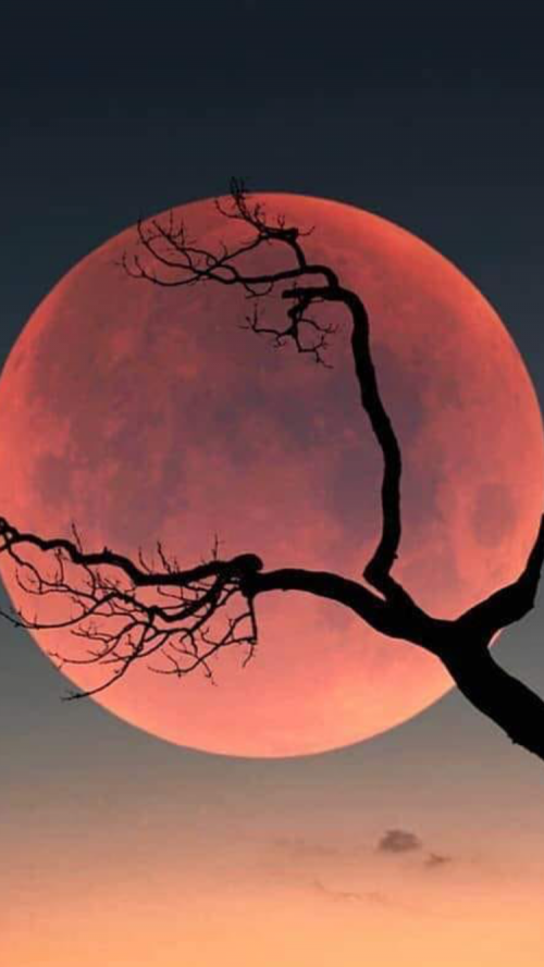 06:01:52 GMT-0600 (CST).image