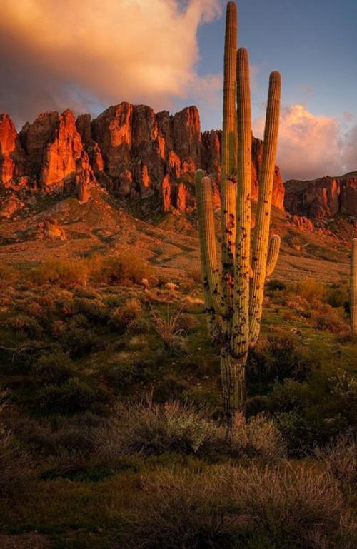 CCD7EB7B-5291-4781-B713-D5BA14982744