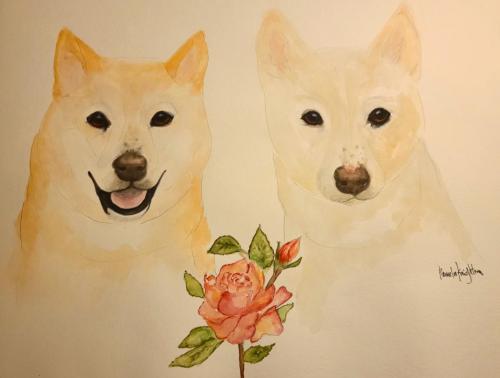 14:37:35 GMT-0700 (MST)