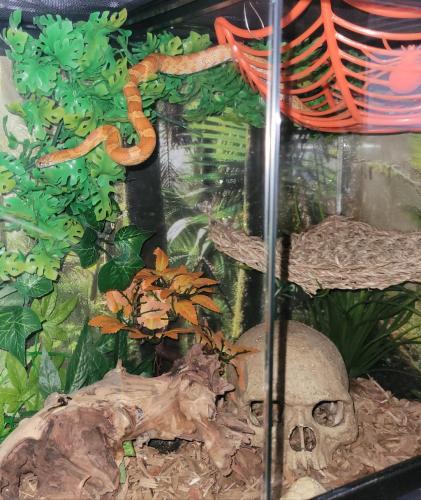 10:14:39 GMT-0500 (EST)