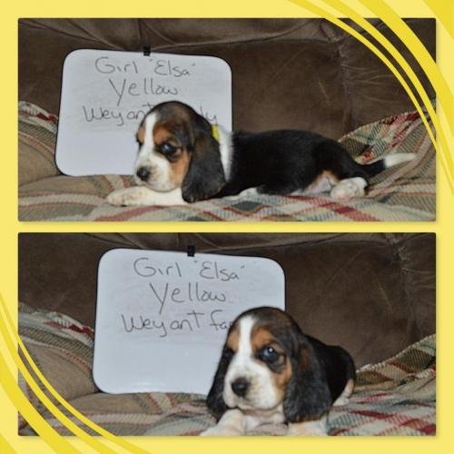 101468494_858808511292062_1236744916739031040_o