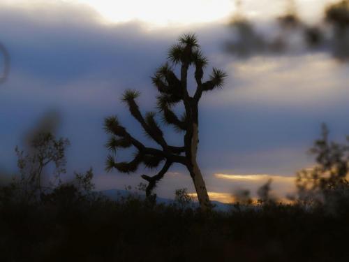 15:01:51 GMT-0800 (PST)