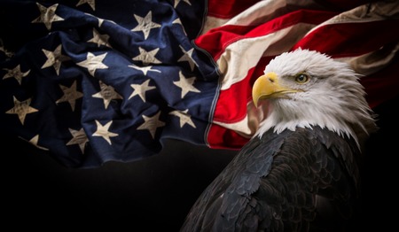 72883081-american-bald-eagle-with-flag-
