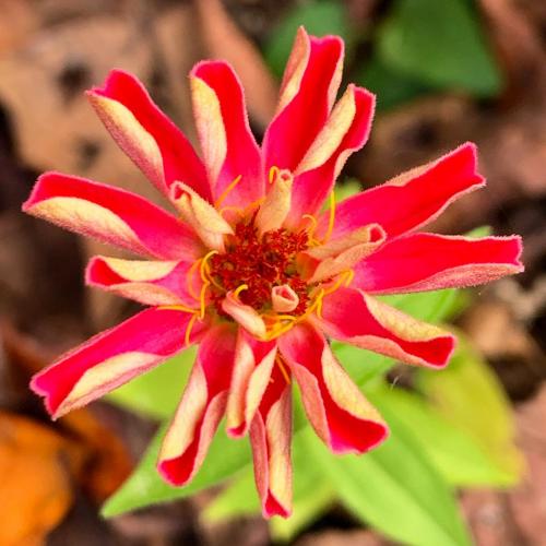 20:52:39 GMT-0600 (CST).image