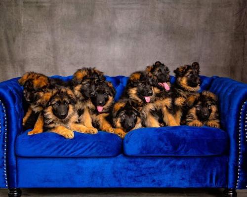 21:58:57 GMT-0700 (MST)