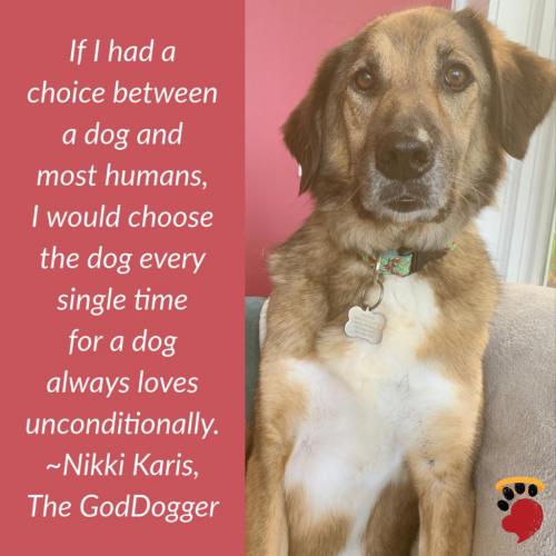 HEARTWARMING-INSPIRING-ANIMAL-MESSAGE-QUOTE (5)