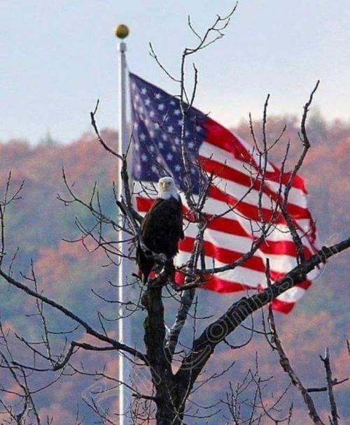 18:53:34 GMT-0600 (CST)