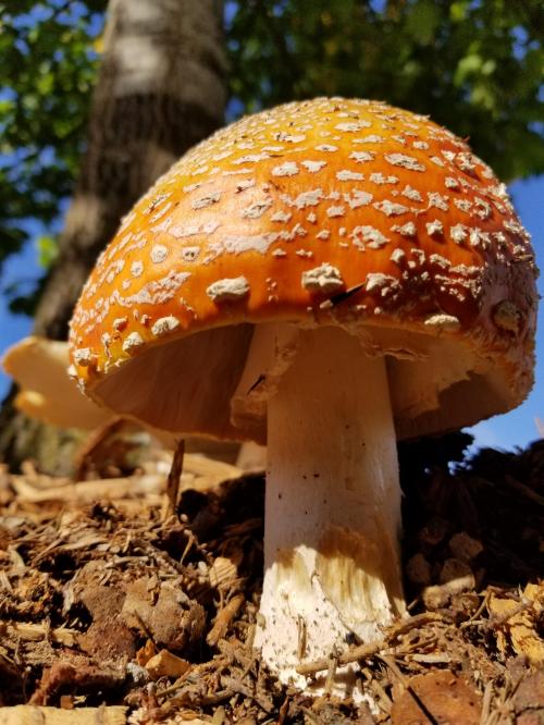 21:19:27 GMT-0800 (PST)