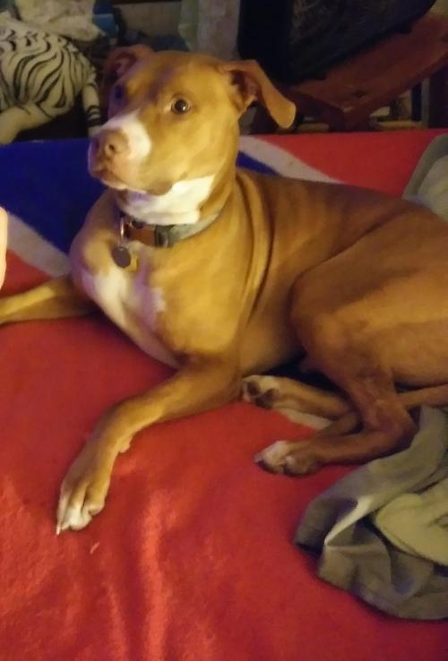 06:19:30 GMT-0600 (CST).image