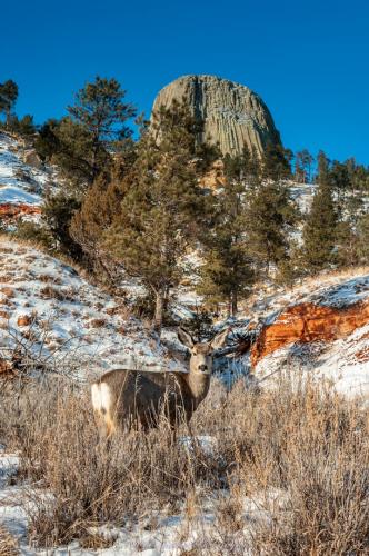 51153469_2218268508233480_1600279899384315904_o