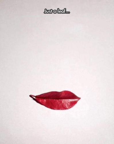 01:06:37 GMT-0500 (EST)