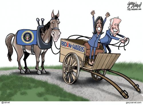 124388705_10157825516230914_8281786393610602030_n