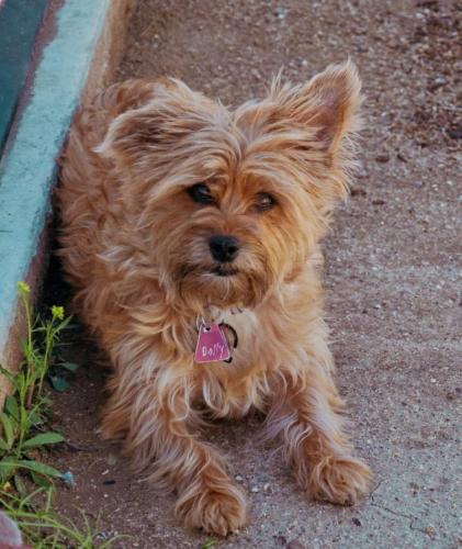 16:36:47 GMT-0800 (PST)